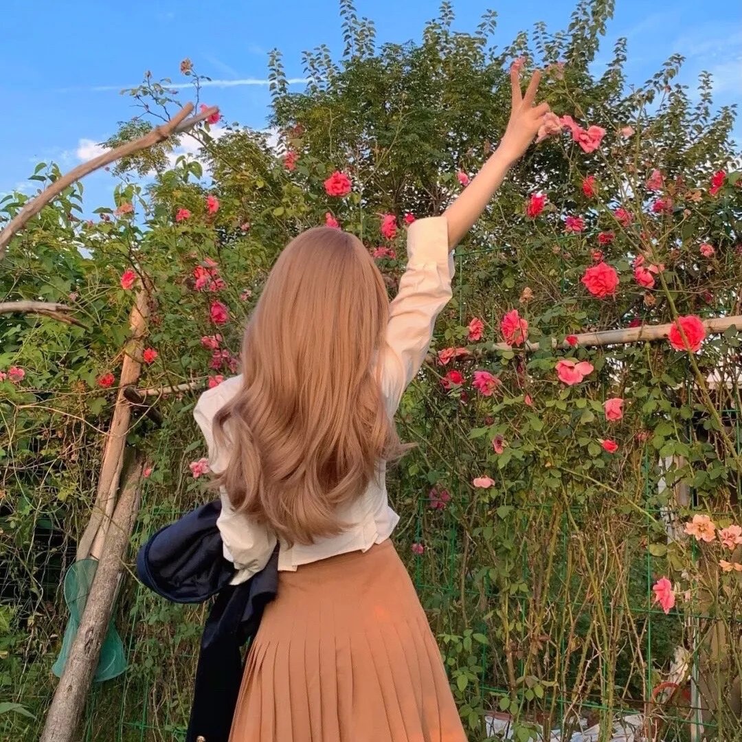 航向热带岛屿的冰山